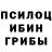 Псилоцибиновые грибы Psilocybine cubensis stickball toons