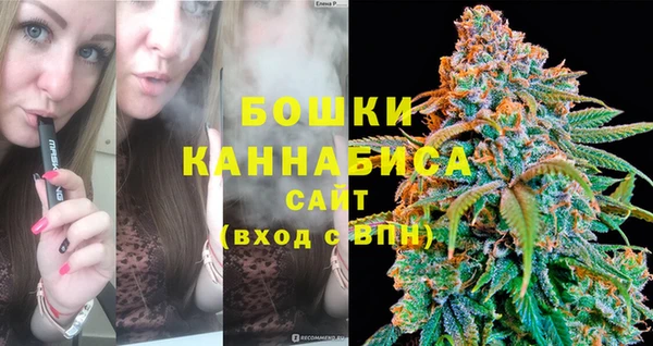 гидропоника Горнозаводск