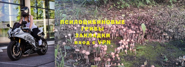 гидропоника Горнозаводск